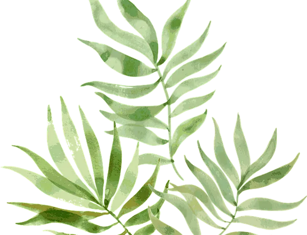 Relaxing palm leaves