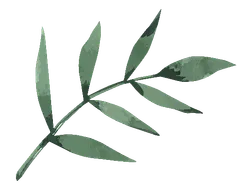 Beautiful accent leaf