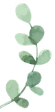 Decrative leaf